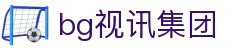 BG视讯·大游(集团)官方网站